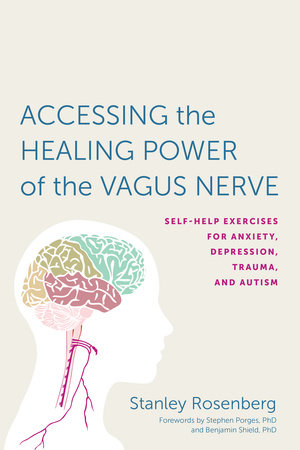 Accessing the Healing Power of the Vagus Nerve Paperback by Stanley Rosenberg