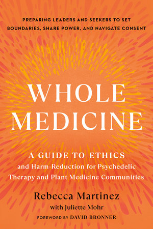 Whole Medicine Paperback by Rebecca Martinez