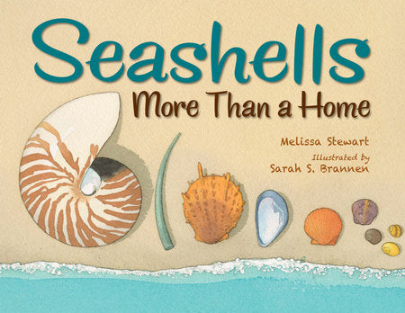Seashells TR by Melissa Stewart (Author); Sarah S. Brannen (Illustrator)