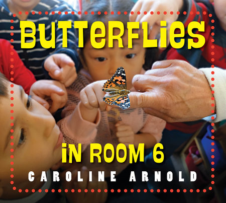 Butterflies in Room 6 TR by Caroline Arnold (Author)