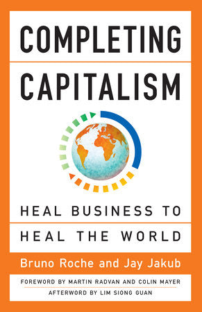 Completing Capitalism Paperback by Bruno Roche and Jay Jakub