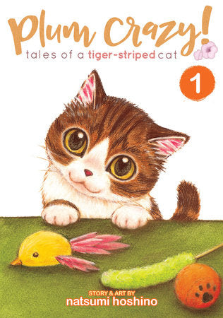 Plum Crazy! Tales of a Tiger-Striped Cat Vol. 1 Paperback by Hoshino Natsumi