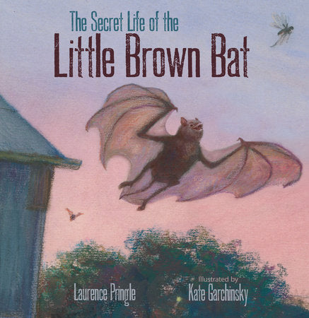 The Secret Life of the Little Brown Bat Hardcover by Laurence Pringle; Illustrated by Kate Garchinsky