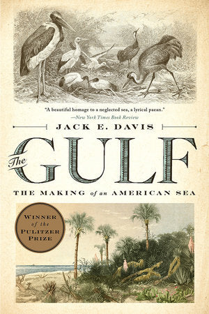 The Gulf Paperback by Jack E. Davis