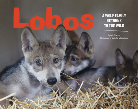 Lobos Hardcover by Brenda Peterson; Photography by Annie Marie Musselman