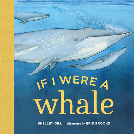 If I Were a Whale Board Book by Shelley Gill, Illustrated by Erik Brooks