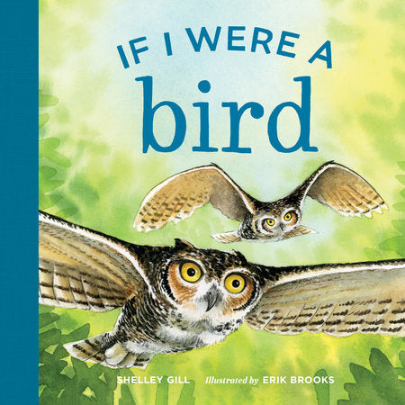 If I Were a Bird Board Book by Shelley Gill; Illustrated by Erik Brooks