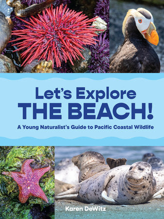 Let’s Explore the Beach! Paperback by DeWitz, Karen