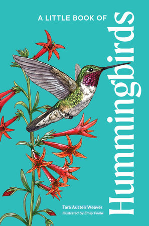A Little Book of Hummingbirds Hardcover by Weaver, Tara Austen