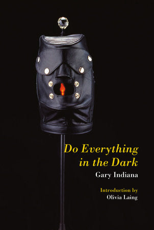 Do Everything in the Dark Paperback by Gary Indiana