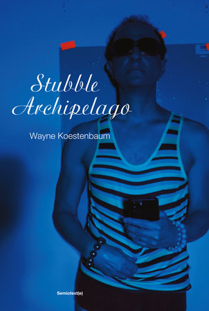 Stubble Archipelago Paperback by Wayne Koestenbaum