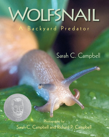 Wolfsnail TR by Sarah C. Campbell; Photographs by Sarah C. Campbell and Richard P. Campbell