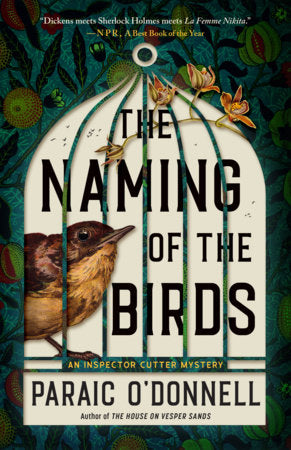 The Naming of the Birds Paperback by Paraic O'Donnell