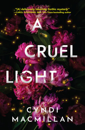 A Cruel Light Hardcover by Cyndi MacMillan