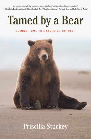 Tamed By a Bear Paperback by Priscilla Stuckey