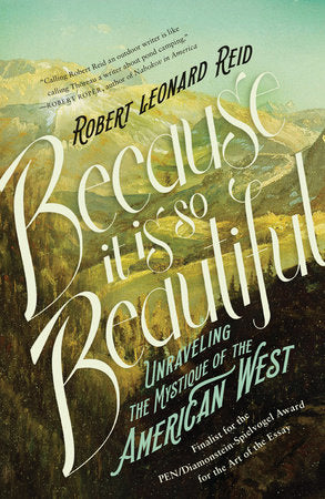 Because It Is So Beautiful Paperback by Robert Leonard Reid