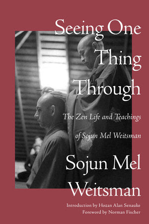 Seeing One Thing Through Paperback by Mel Weitzman