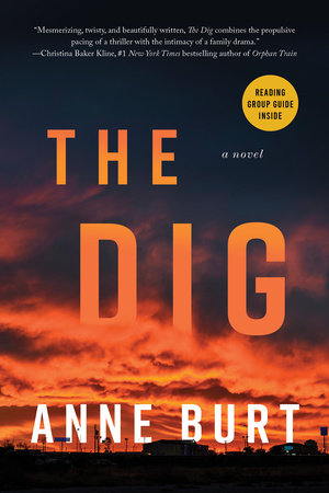 The Dig Paperback by Anne Burt