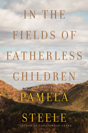 In The Fields of Fatherless Children Hardcover by Pamela Steele