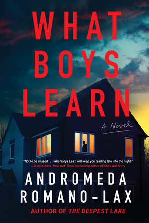 What Boys Learn Hardcover by Andromeda Romano-Lax