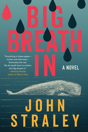 Big Breath In Paperback by John Straley