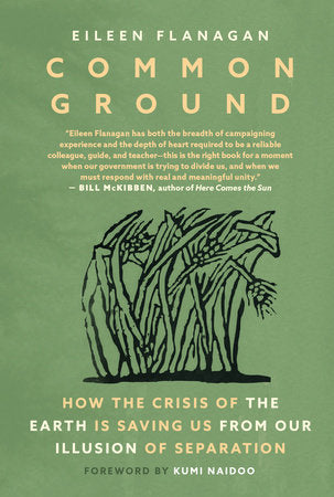 Common Ground Paperback by Eileen Flanagan