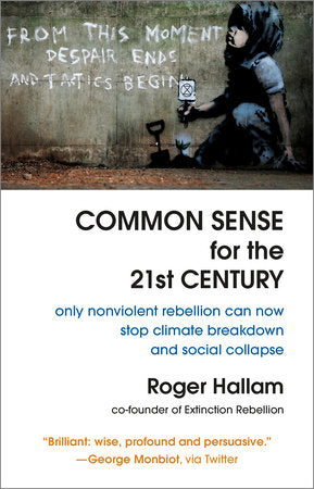 Common Sense for the 21st Century Paperback by ROGER HALLAM
