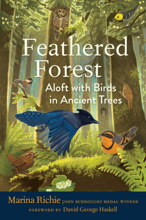 Feathered Forest Hardcover by Marina Richie