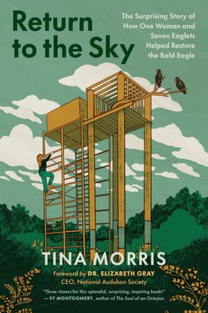 Return to the Sky Paperback by Tina Morris