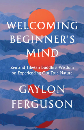 Welcoming Beginner's Mind Paperback by Gaylon Ferguson