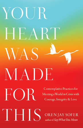 Your Heart Was Made for This Paperback by Oren Jay Sofer