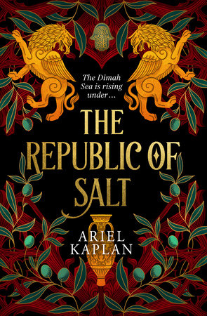The Republic of Salt Paperback by Ariel Kaplan