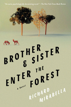 Brother & Sister Enter the Forest Paperback by Richard Mirabella