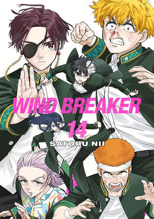 WIND BREAKER 14 Paperback by Satoru Nii