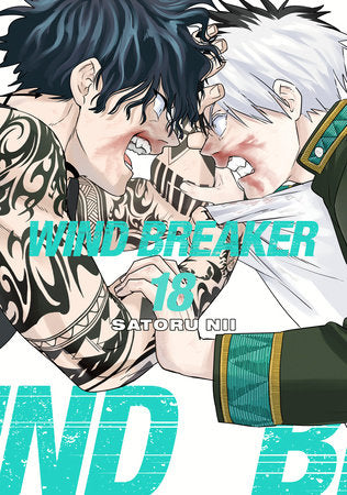 WIND BREAKER 18 Paperback by Satoru Nii