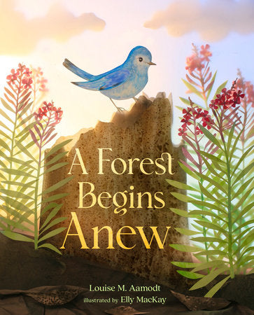 A Forest Begins Anew Hardcover by Louise A. Aamodt; Illustrated by Elly MacKay