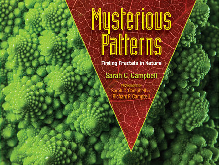 Mysterious Patterns Paperback by Sarah C. Campbell; Photographs by Richard P. Campbell