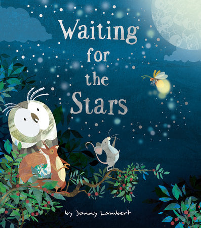 Waiting for the Stars Hardcover by Jonny Lambert: illustrated by Jonny Lambert