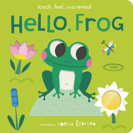 Hello, Frog Board Book by Isabel Otter; illustrated by Sophie Ledesma