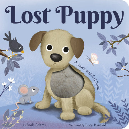 Lost Puppy Board Book by Rosie Adams; illustrated by Lucy Barnard