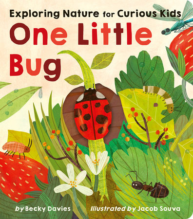One Little Bug Board Book by Becky Davies; illustrated by Jacob Souva
