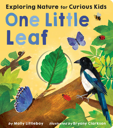 One Little Leaf Board Book by Molly Littleboy; illustrated by Bryony Clarkson