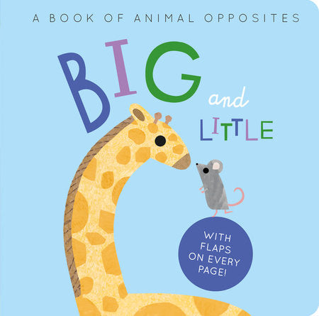 Big and Little Board Book by Harriet Evans; illustrated by Linda Tordoff