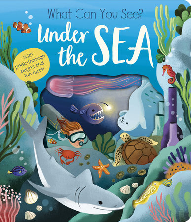 What Can You See? Under the Sea Board Book by Molly Littleboy; illustrated by Maria Perera