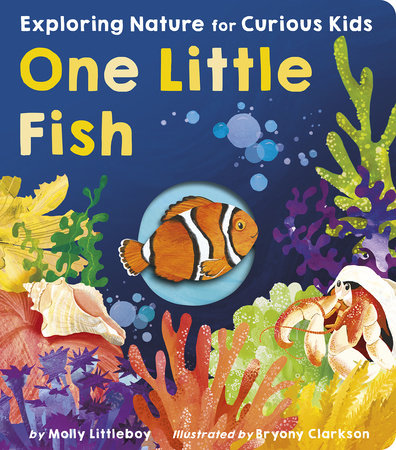 One Little Fish Board Book by Molly Littleboy; illustrated by Bryony Clarkson