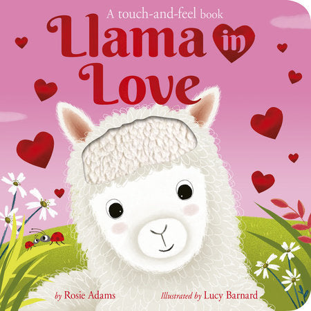Llama in Love Board Book by Rosie Adams; illustrated by Lucy Barnard