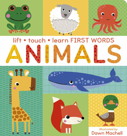 Lift Touch and Learn First Words: Animals Board Book by Villetta Craven; illustrated by Dawn Machell
