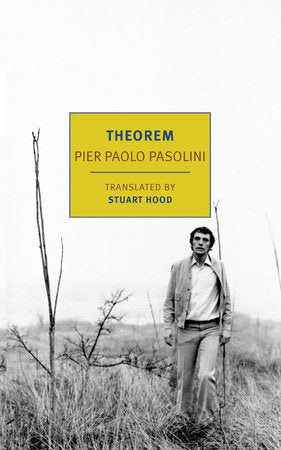 Theorem Paperback by Pier Paolo Pasolini, translated from the Italian by Stuart Hood