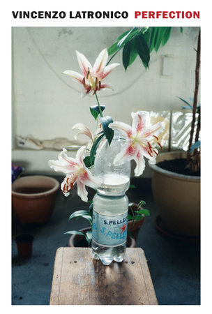 Perfection Paperback by Vincenzo Latronico, translated from the Italian by Sophie Hughes