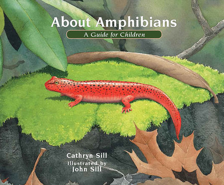 About Amphibians Paperback by by Cathryn Sill; illustrated by John Sill